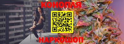 крисы Будённовск