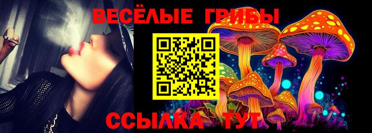 Галлюциногенные грибы Cubensis  как найти   Котовск  Вход с VPN 